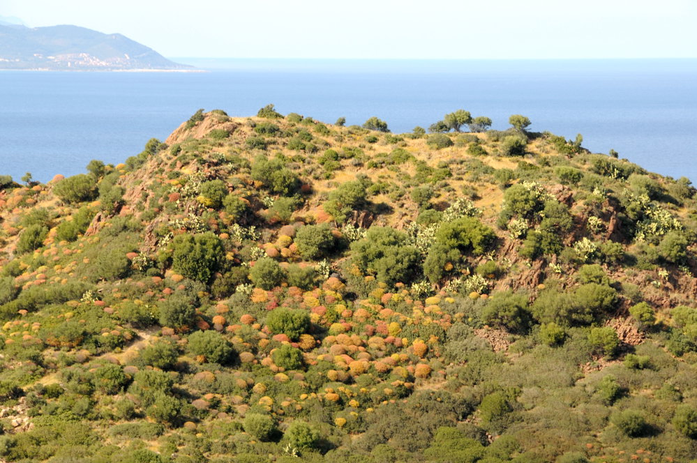 Capo Ferrato